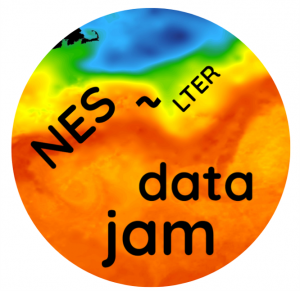NES Data Jam logo