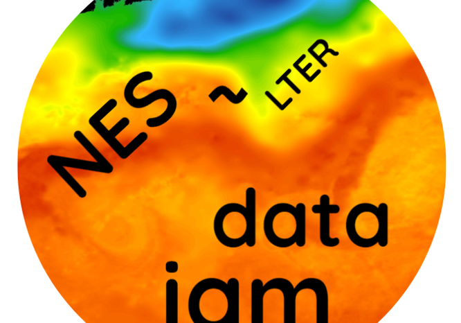 NES Data Jam logo