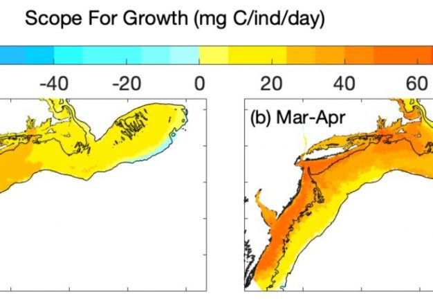 Model results of Scallop Scope for Growth, for Jan-Feb and Mar-Apr with color scale above